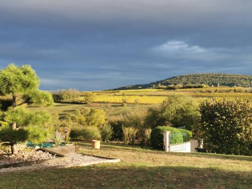 Studio spacieux, route des vins