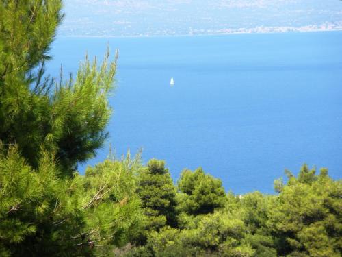 Studio Xanthippe