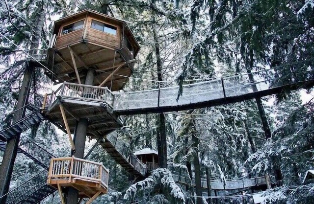 Stunning 47 foot high Treehouse!