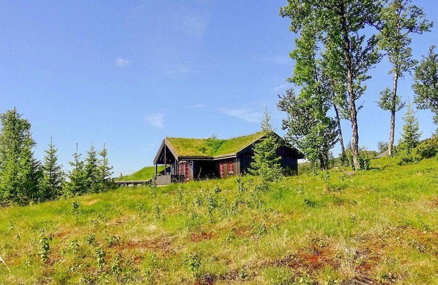 Stunning home in Gol with sauna