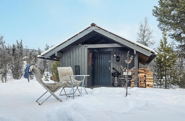 Stunning home in Nesbyen with WiFi
