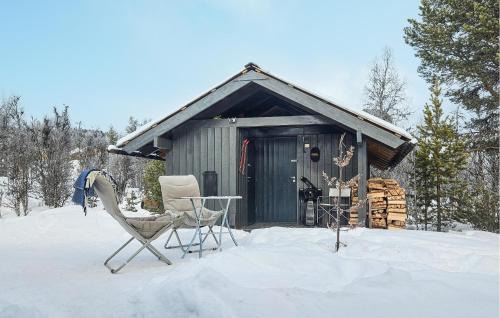 Stunning Home In Nesbyen With Wifi