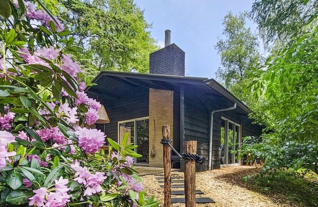 Stunning home in Rheezerveen with sauna