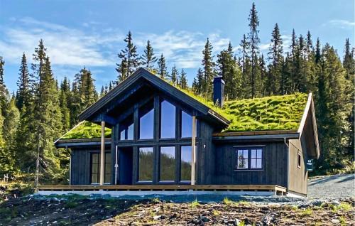 Stunning Home In Vinje With Wifi