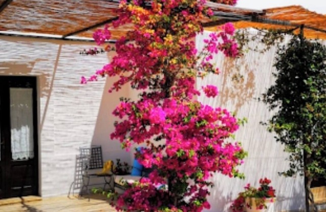 Stunning Quadruple Room in Ancient Masseria Near the sea in a Quiet Olive Trees