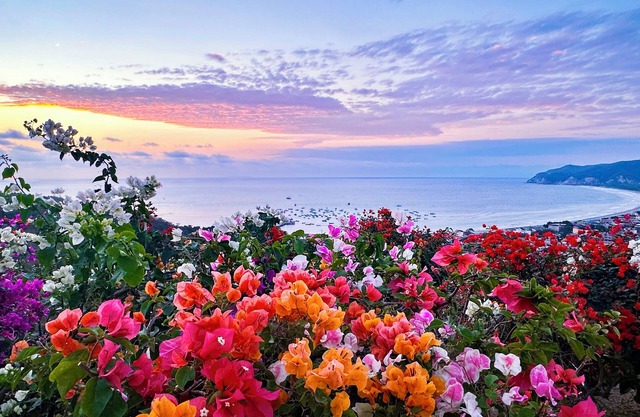 Stunning views - Cozy and Secluded guesthouse with 1 bedroom and WiFi, AC.