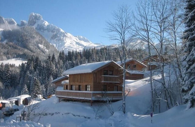 Stylish and cozy: Austrian wooden chalet for 8, only 300m from slopes