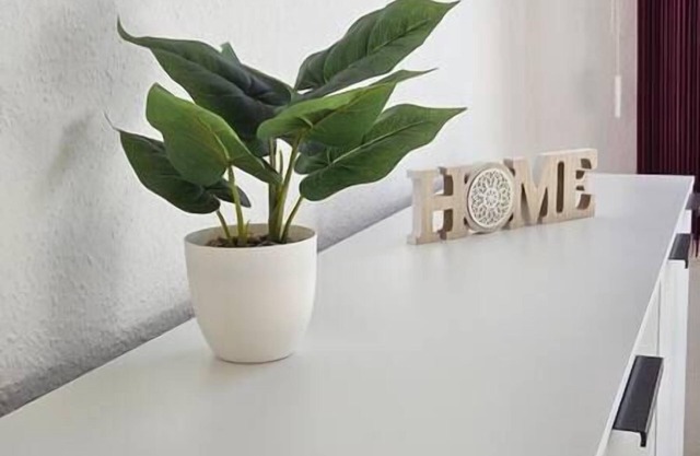 Stylish apartment 70sqm <1000€ possible per month