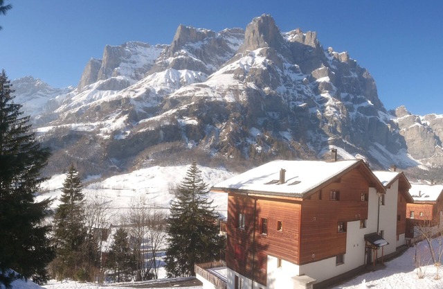 Stylish Apartment in the Ski and Thermal Spa Resort of Leukerbad