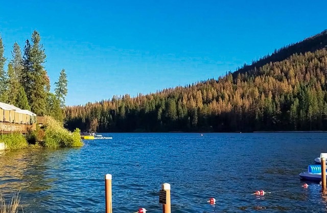 Stylish cabin in Mariposa Valley, close to hiking, fishing, & Yosemite
