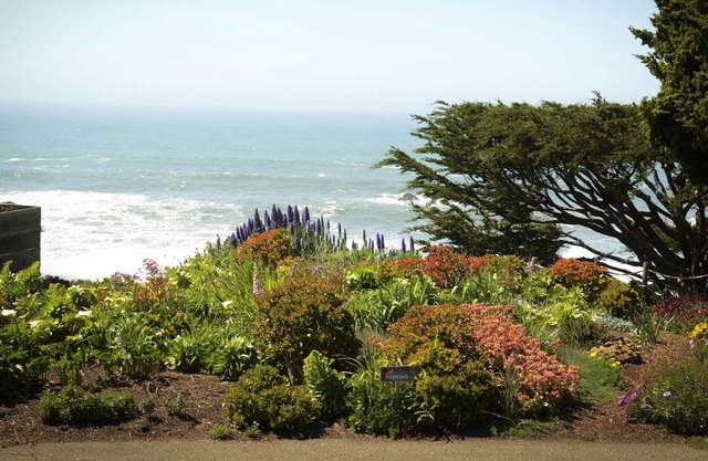 Stylish Cottage at Wrights Beach - Views of Ocean, Gardens and Rolling Hills