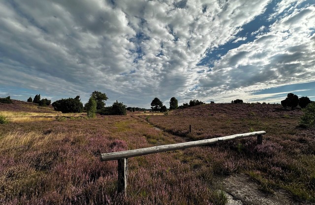 Stylish country idyll in the Südheide. Pure nature!