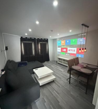 Stylish Home Theater Apartment