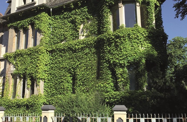 Stylish living in modern period villa "Big Oyster"