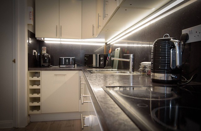 Stylish Racing Themed 3 BR Apt