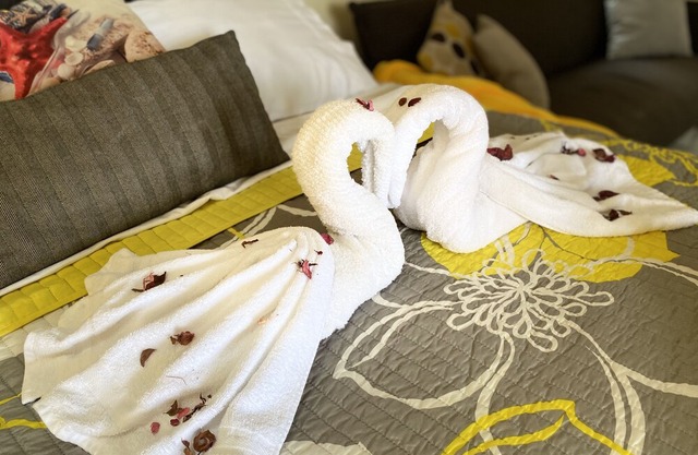 Stylish Tropical Poolside Studio Near Attractions/Free Airport Transfer-8 days++