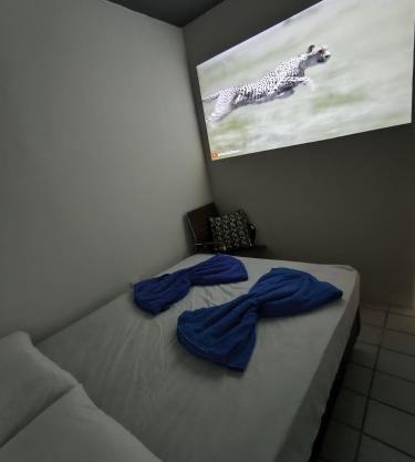 Suíte Lite 3