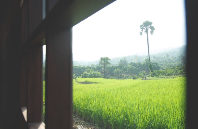 Suan Sook - Happy Garden