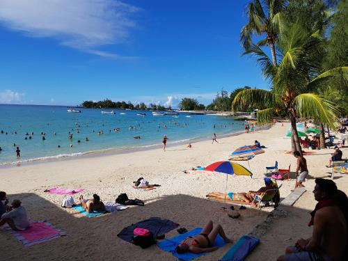 Sugar Reef Flac 