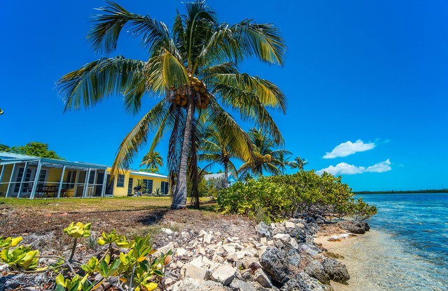 Sugarloaf Serenity | Spacious, pet-friendly waterfront retreat on Sugarloaf Key