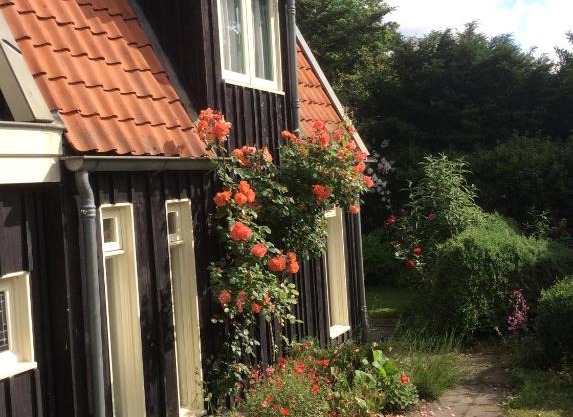 Suikerdiefje