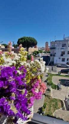 Suite Panorama