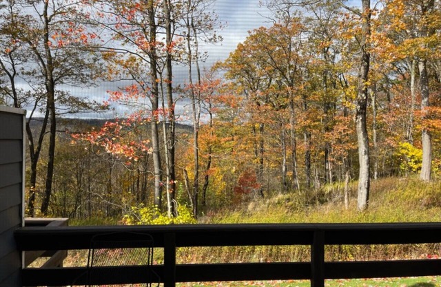 ☀️ Summer Escape w/Scenic Views, Pool Access & Pet-Friendly Comfort 🏞️🐾🏊‍♀️