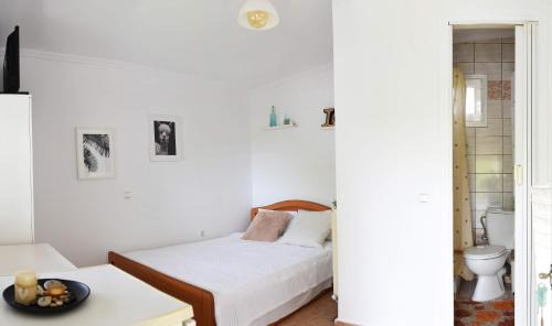 Summer Panorama Studio