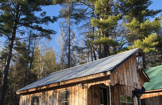 Sun drenched cozy cottage on budding 17 acre homestead