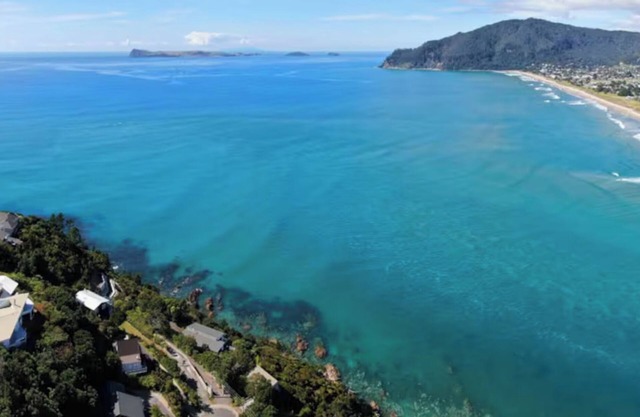 Sun-Kissed Shores of Tairua!