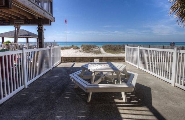 Sunbird Paradise - 1383972