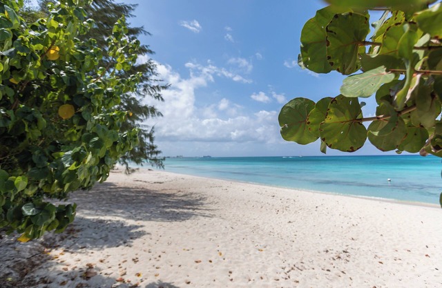 Sundowner 3, on the beautiful 7 Mile Beach with stunning sunset views!