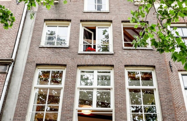 Sunflower Amsterdam