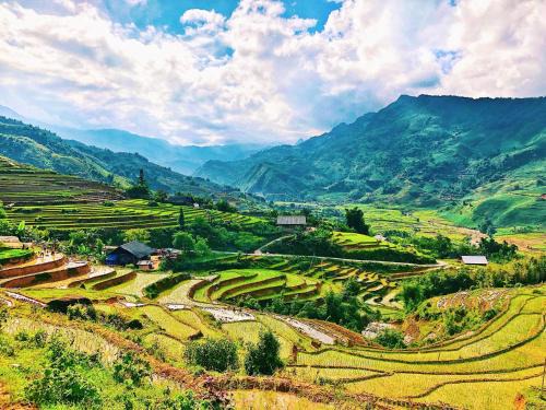 Sunlit Homestay & Travel Sapa