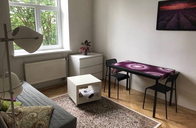 Sunny and peaceful flat near the city centre