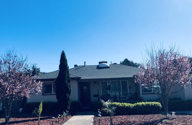 Sunny Bungalow