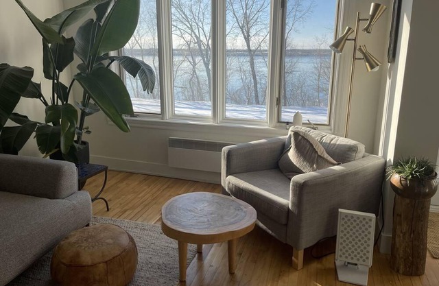 Sunny, spacious riverside condo