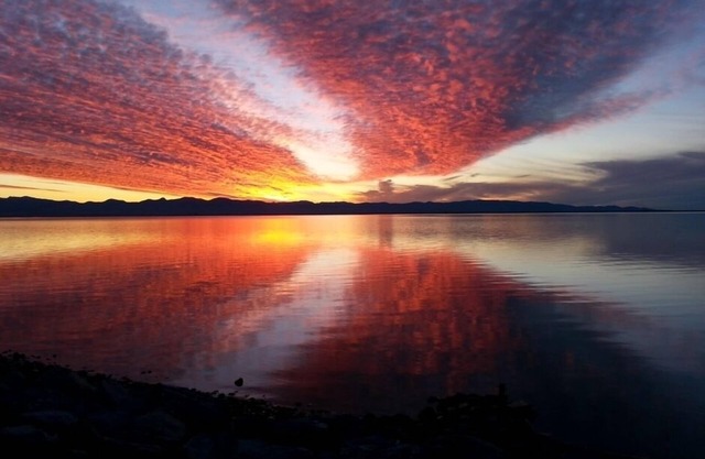 sunny warm stunning views nelson atawhai