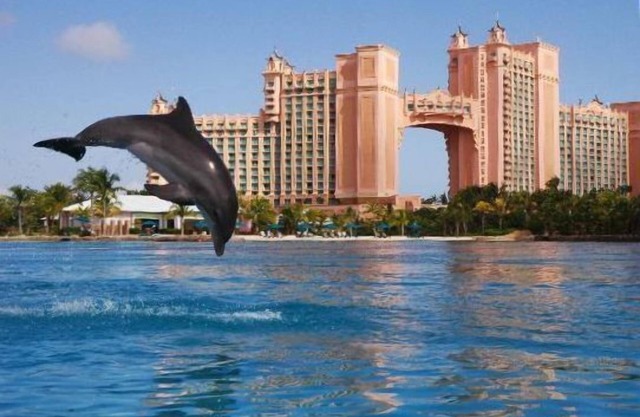 Sunrise Beach Resort-Same Beach as Atlantis-3 Bedroom-Villa Tropicalia