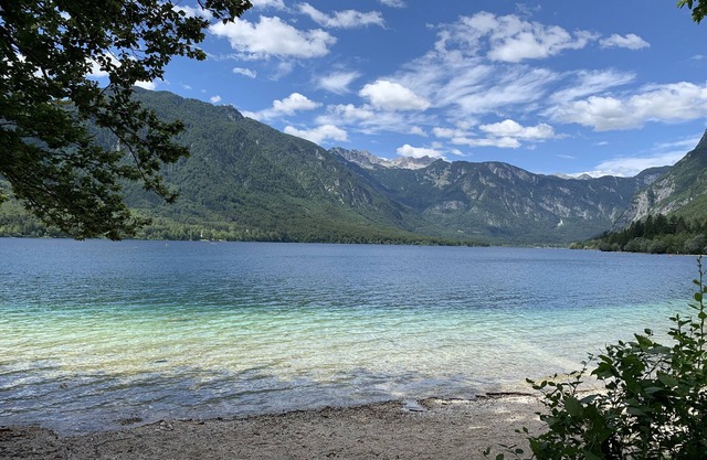 Sunrise Bohinj Apartment, just 5 km to the Bohinj lake and Vogel ski resort!