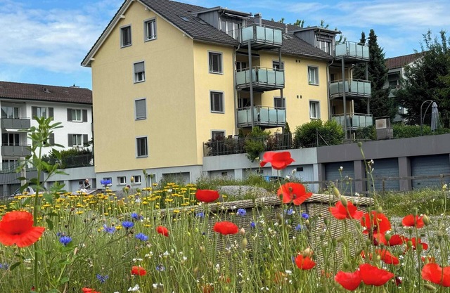 Sunrise Terrace 2.5 Room Apartment (FR-31)