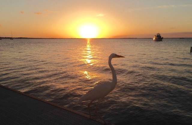 Sunset Serenity at Moon Bay! Amazing Waterfront condo with Spectacular Sunsets!