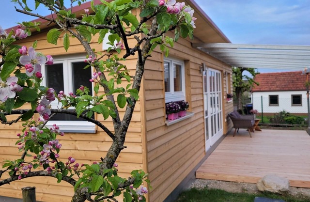 Super cozy tiny house with terrace