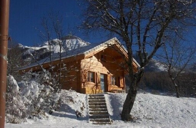 Superb solid wood chalet near the slopes and the park