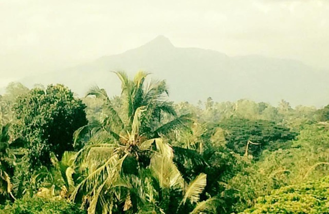 Sura Homestay Kandy