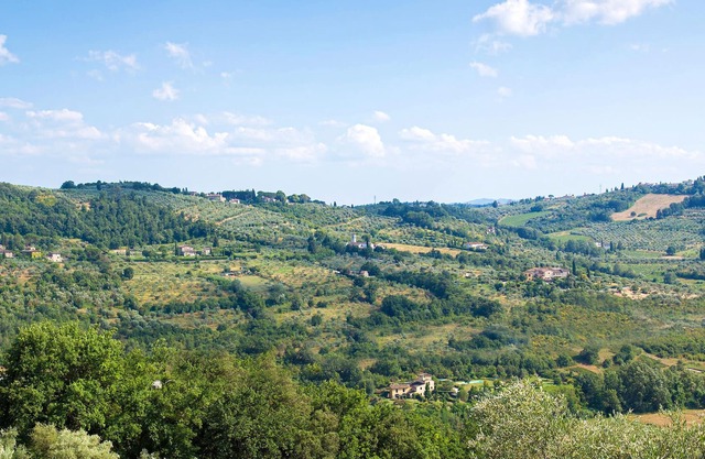 Surrounded by the beautiful Tuscan countryside ? enjoy this vacation apartment in Molino del Piano.
