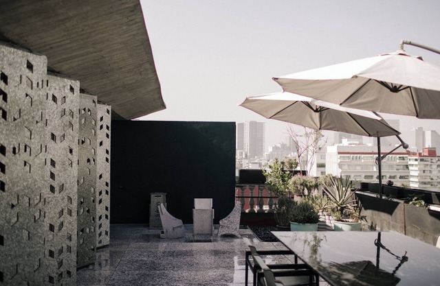 Sustainable luxury 3 level penthouse in Polanco. View from roofgarden.