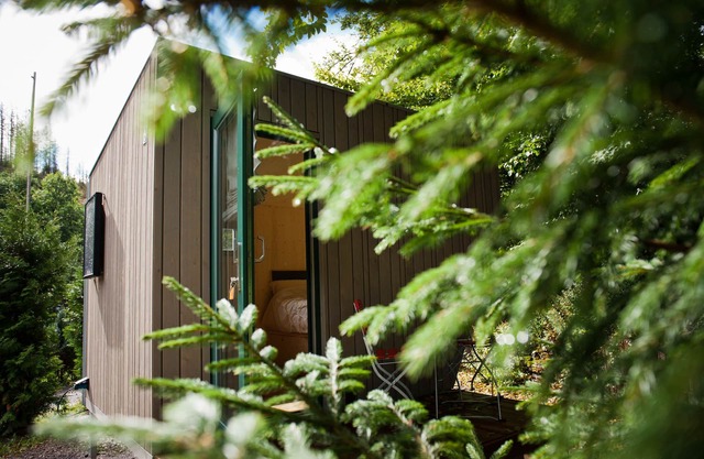 Sustainable & stylish - overnight stay in the Green Tiny Sleep Space in the Harz Mountains