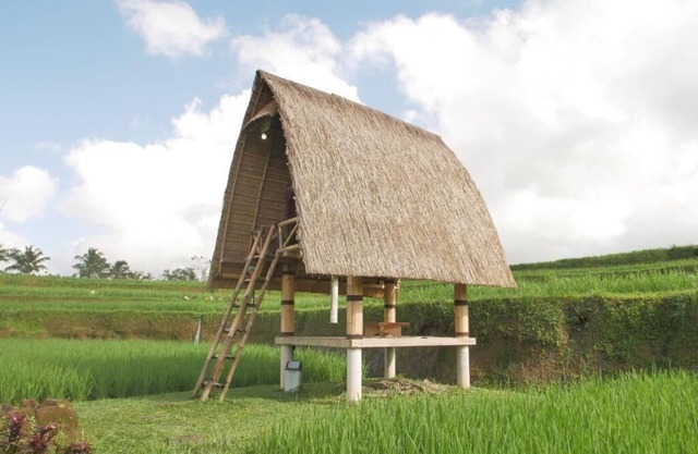 Swaha Retreat & Eco Park Ubud
