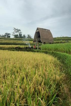 Swaha Retreat & Eco Park Ubud